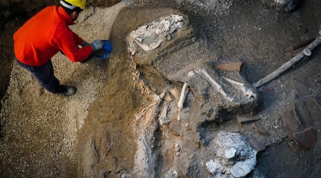 Bir Pompeii kurbanının DNA dizilimi çıkarıldı