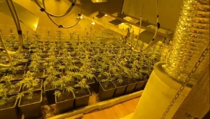 "Böbreğinin parasıyla" hint keneviri serası kurdu 