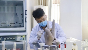 Çamur ve üreden yenilenebilir çimento üretildi