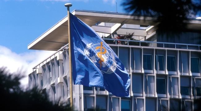 DSÖ: "Maymun çiçeği vaka sayısı 200'e ulaştı"