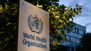 DSÖ, maymun çiçeği virüsü için acil toplanıyor