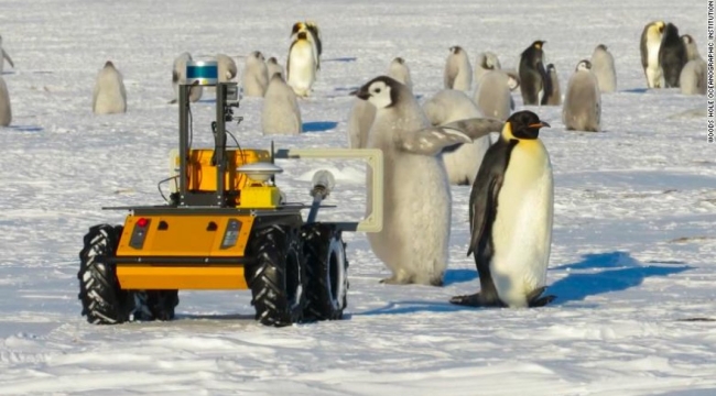 ECHO robot 20 bin pengueni takip edebiliyor