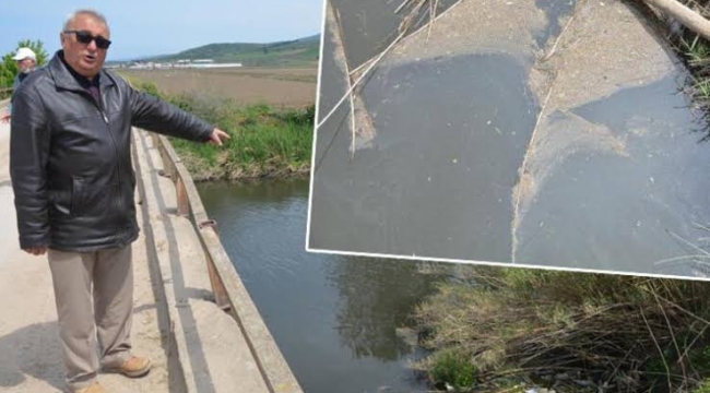 Gönen-Susurluk Çayları Marmara'ya zehir taşıyor