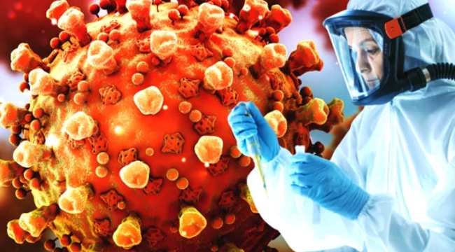 İtalya'da ilk "maymun çiçeği" virüsü vakası