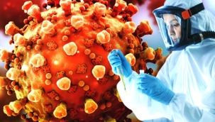 İtalya'da ilk "maymun çiçeği" virüsü vakası