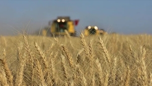 TCMB: "Ekmek, makarna ve ete zam gelecek"