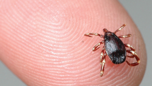 Sivas'ta KKKA şüphesiyle tedavi gören kişi öldü