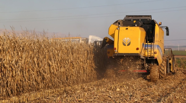 TÜİK: "Tarımsal üretim enflasyonu %105 arttı"