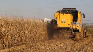 TÜİK: "Tarımsal üretim enflasyonu %105 arttı"