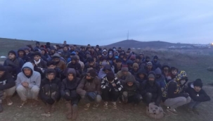 Van'da 101 kaçak göçmen yakalandı