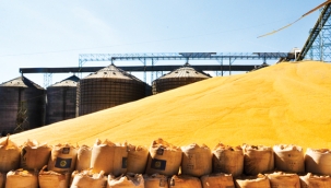 4,5 milyon ton tahıl Ukrayna limanlarında bekliyor