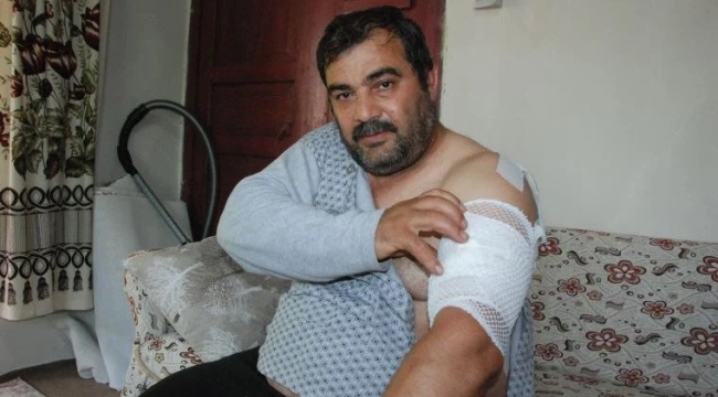 Bartın'da bir işçiye ayı saldırdı