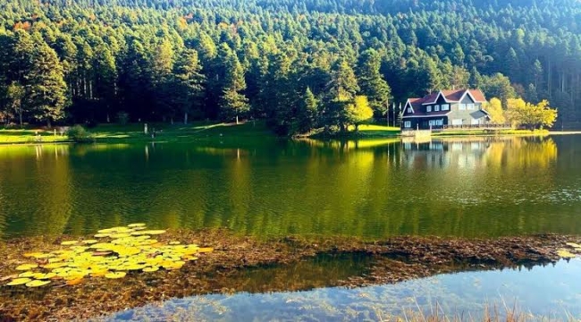 Bolu Abant Gölü arazisi "millî park" ilan edildi