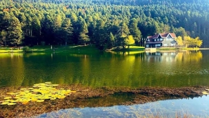 Bolu Abant Gölü arazisi "millî park" ilan edildi