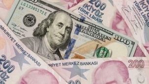 Dolar kuru 17 TL'yi aştı