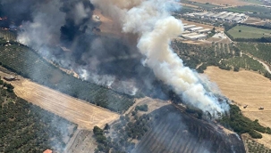 İzmir'de orman yangını