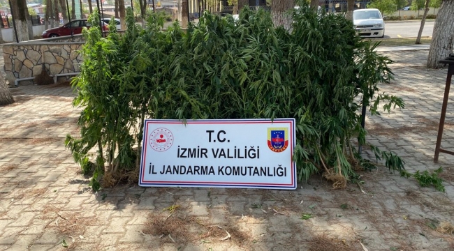 İzmir'de uyuşturucu operasyonu: 18 gözaltı