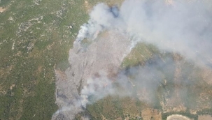 İzmir'deki orman yangını kontrol altına alındı