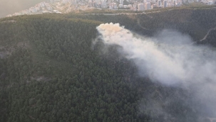 Balçova'da orman yangını