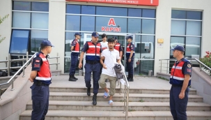 Kırklareli'nde 172 Afgan kaçak yakalandı