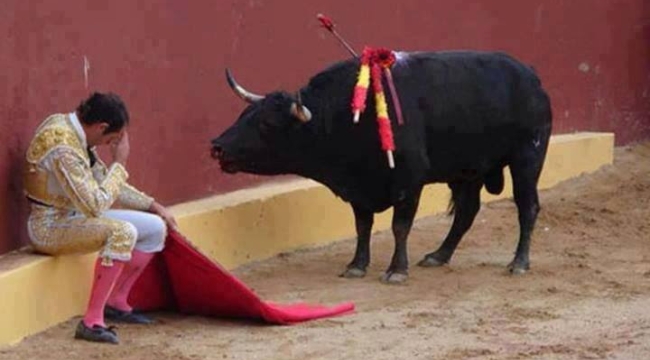 La Plaza Mexico'da boğa güreşleri askıya alındı