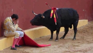 La Plaza Mexico'da boğa güreşleri askıya alındı