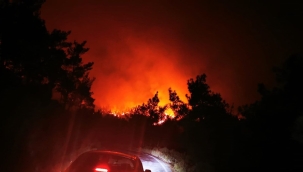 Marmaris'te orman yangını