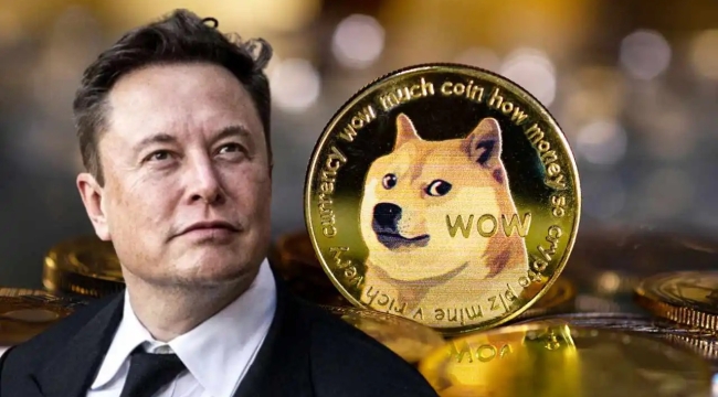 Musk'a 258 milyar dolarlık "Dogecoin" davası