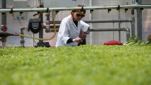 Tarımsal Ar-Ge çalışmalarına 50 milyon TL bütçe