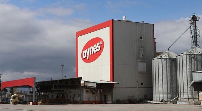 TMSF'ye devredilen Aynes Gıda satışa çıkarıldı