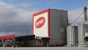 TMSF'ye devredilen Aynes Gıda satışa çıkarıldı