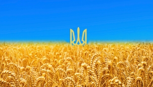 Ukrayna: "Batı'ya tahıl ihracatı her ay %50 artıyor"