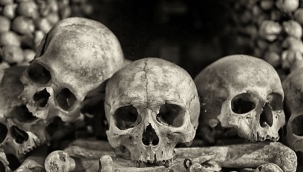 Kara veba Kırgızistan'dan yayılmış olabilir