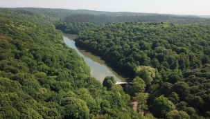 81 ilde ormanlık alanlara giriş yasaklandı