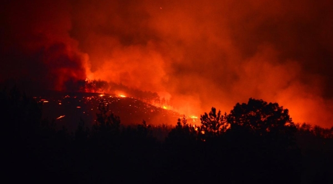 Adana/Kozan'da orman yangını
