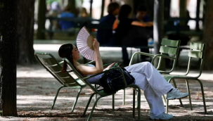 Avrupa'da sıcak hava dalgası: En az 281 kişi öldü