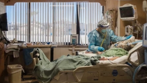 BAE'de 3 yeni maymun çiçeği vakası tespit edildi