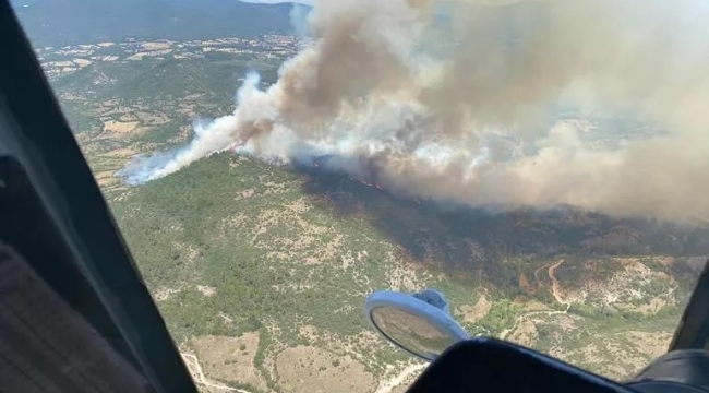 Balıkesir Kepsut'ta orman yangını