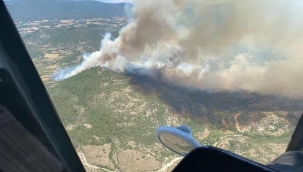 Balıkesir Kepsut'ta orman yangını
