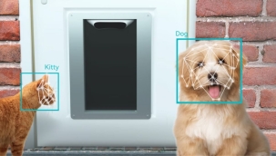 Çinli Petvation'dan hayvanları tanıyan oto-kapı