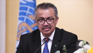 DSÖ, maymun çiçeği için acil durum ilan etti