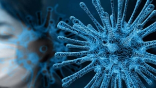 Dünya'da maymun çiçeği vakası 6 bini geçti