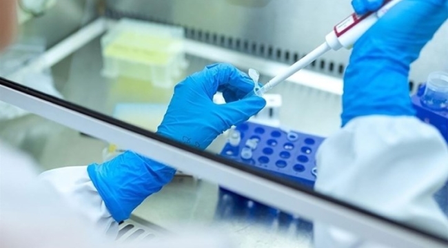 Yeni hepatit virüsünden 22 çocuk hayatını kaybetti 