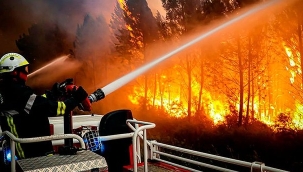 Fransa'da yangın: En az 7.500 hektar alan kül oldu