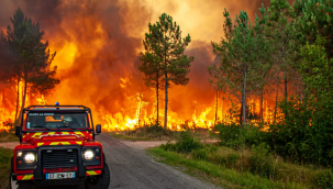 İspanya'da orman yangını: 2300 kişi tahliye edildi