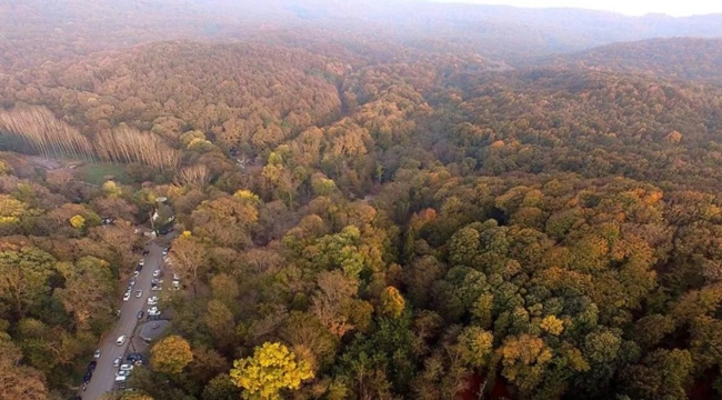 İstanbul'da ormanlara giriş yasaklandı