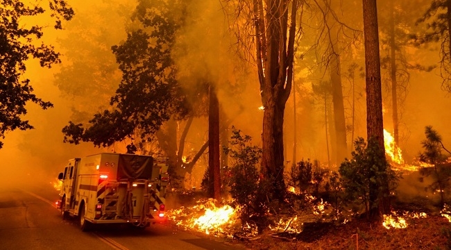 Kaliforniya'da orman yangını: OHAL ilan edildi