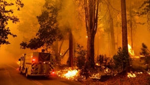 Kaliforniya'da orman yangını: OHAL ilan edildi