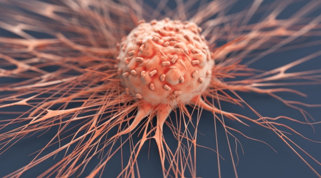 Kansere karşı "zırhlı solucan" kullanılacak