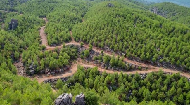 Kilis'te ormanlık alanlara giriş yasaklandı